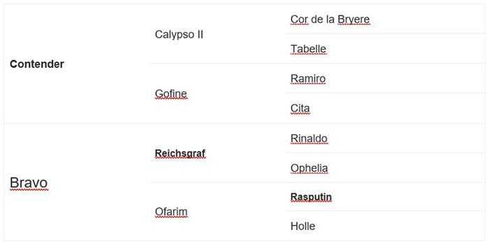 Contendro I családfa